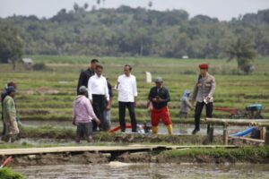 IMG-20240704-WA0010-768x512