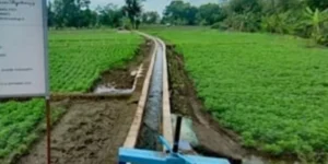 WhatsApp-Image-2025-09-21-at-234743-3569688974