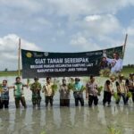 Perkuat Produksi Nasional, Brigade Pangan Cilacap Lakukan Tanam Serempak