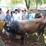 Wamentan Sudaryono: Ketersediaan Hewan Kurban Nasional Surplus, Pasokan Aman