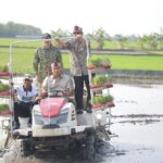Stok Beras RI Tembus 28 Juta Ton, Wamentan Sudaryono Kebut Tanam 750 Hektar Padi di Lamongan Hadapi El Nino