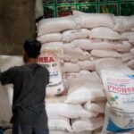Di Tengah Krisis Pupuk Global, FAO Sebut Petani Indonesia Tetap Tanam dan Penopang Cadangan Beras Dunia