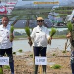 Kementan Percepat Gerakan Tanam di Lahan Oplah dan Cetak Sawah Rakyat untuk Perkuat Ketahanan Pangan Nasional