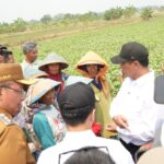 Mentan Amran Siapkan Aturan Baru agar Buruh Tani Bisa Dapat Alsintan